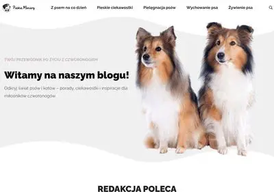 PieskieManiery - blog o psach | Porady dla właścicieli czworonogów